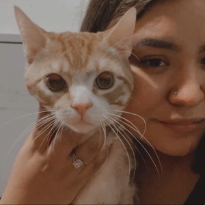 Meet your Posher, Erika